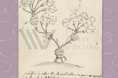 HR-DAPA-12 Pazinska knežija (Graffschaft Mitterburg, Contea di Pisino), 1571/1918[1919/1934], Obiteljsko stablo obitelji de Segher (1826)