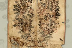 HR-DAPA-797 Zbirka isprava, 1200/1842, 135. Obiteljsko stablo obitelji Filipin koja se doselila iz Zemunika kod Zadra u Poreč 1575 godine (1657)
