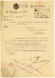 Zaraza kod pilića; HR-DAPA-66, Općina Pazin, IV/V Zaraze, kut. 25, 1941.