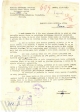 Rezanje mrazom oštećenog vinograda; HR-DAPA-132, Narodni odbor gradske općine Pazin, 5. Privreda 1952-1955, kut. 4, 1953.