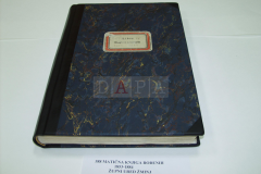 Restored and newly-tied mother-book